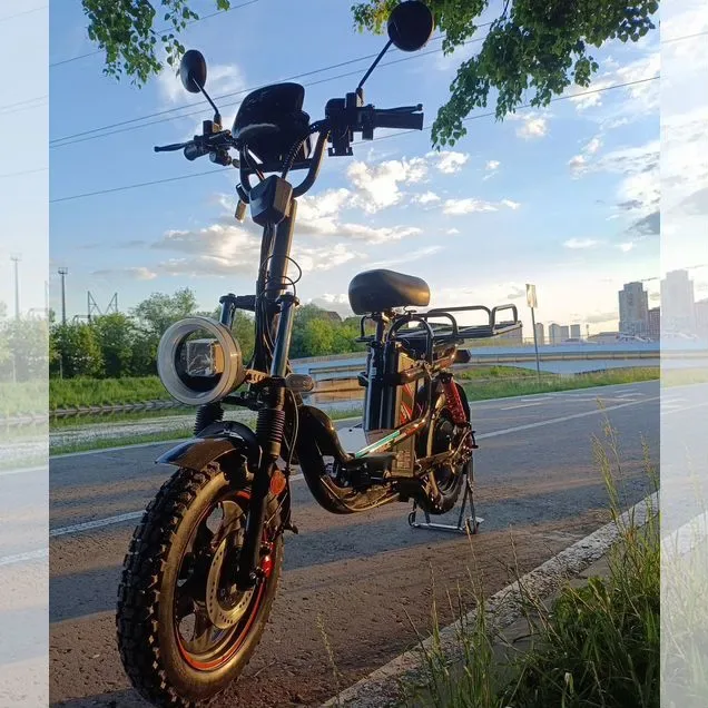 Аренда электровелосипеда в Москве у E-bike PRO, 3 500 ₽ за неделю