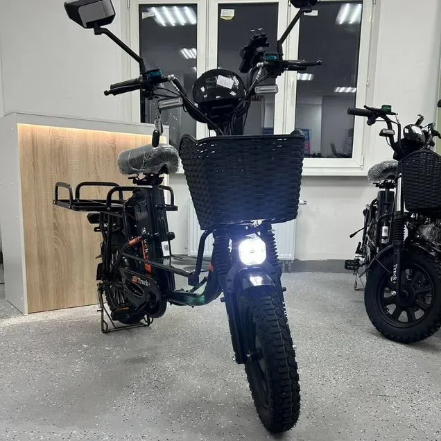 Аренда электровелосипеда в Нижнем Новгороде у VeloClub, 350 ₽ за сутки