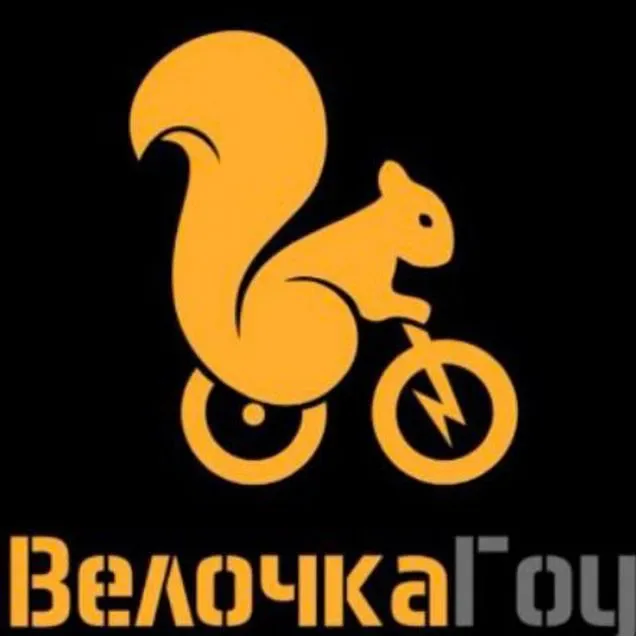 Аренда электровелосипеда в Владимире у ВелочкаГоу Владимир, 500 ₽ за сутки