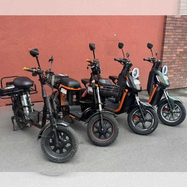 Аренда электровелосипеда в Санкт-Петербурге у VELO ELEKTRIC, 3 300 ₽ за неделю